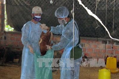 Hàng loạt chính sách mới của Chính phủ có hiệu lực từ tháng 2/2017 ảnh 1